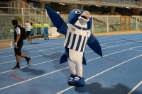 Vis Pesaro-Pescara 2-4, una fantastica rimonta che vale l&#039;ipoteca della Semifinale playoff